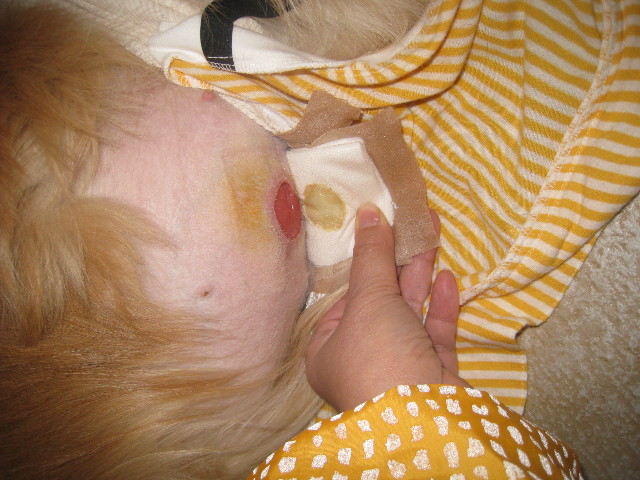 ファイル 712-2.jpg