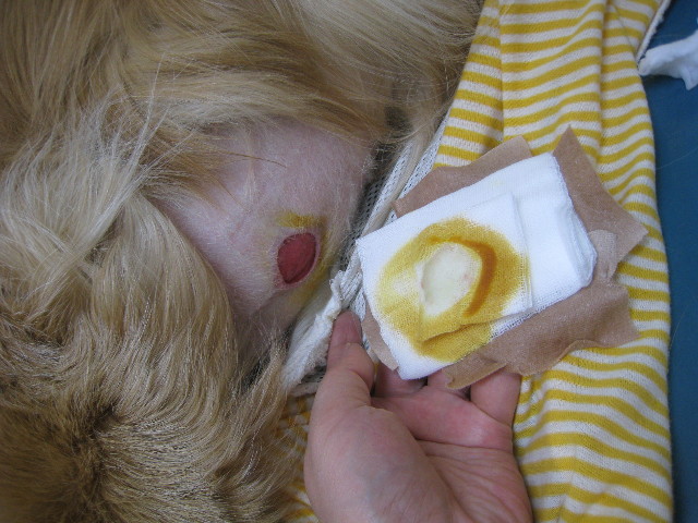 ファイル 712-3.jpg