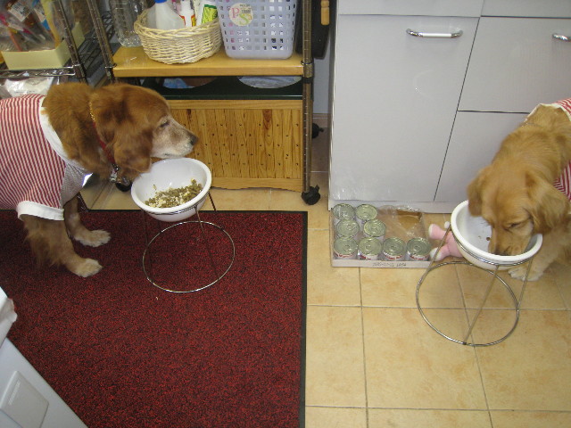 ファイル 712-4.jpg