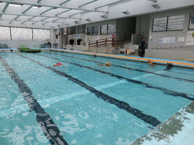 ファイル 7122-3.jpg