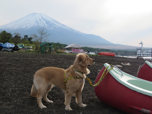 ファイル 7123-4.jpg