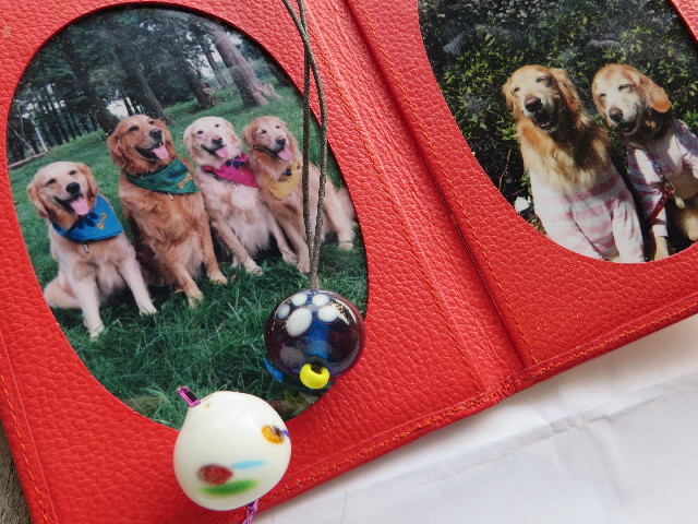 ファイル 7123-5.jpg