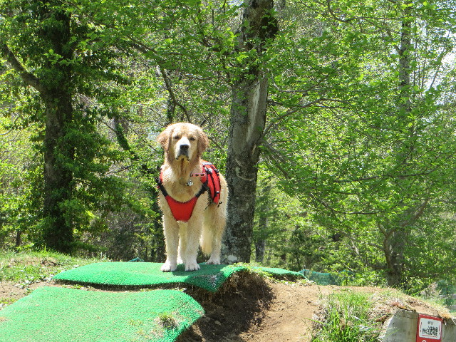 ファイル 7124-4.jpg