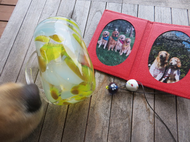 ファイル 7126-4.jpg