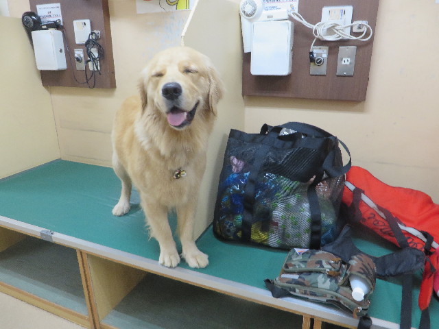 ファイル 7127-2.jpg