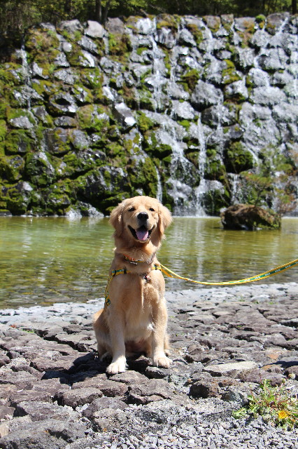 ファイル 7127-4.jpg