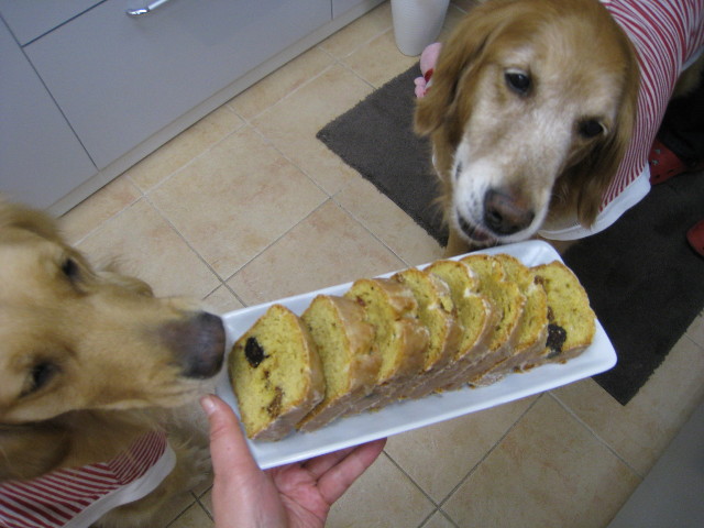 ファイル 713-1.jpg