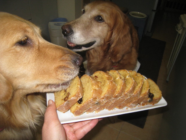 ファイル 713-3.jpg