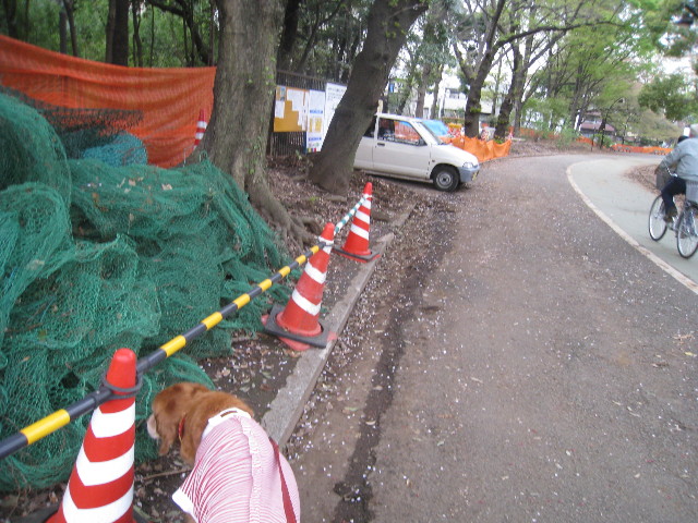 ファイル 713-4.jpg