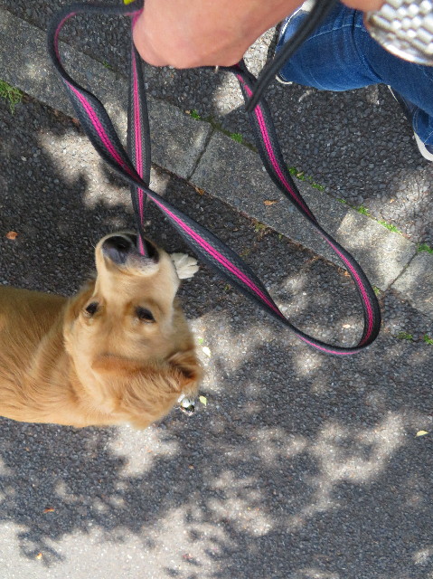 ファイル 7130-3.jpg