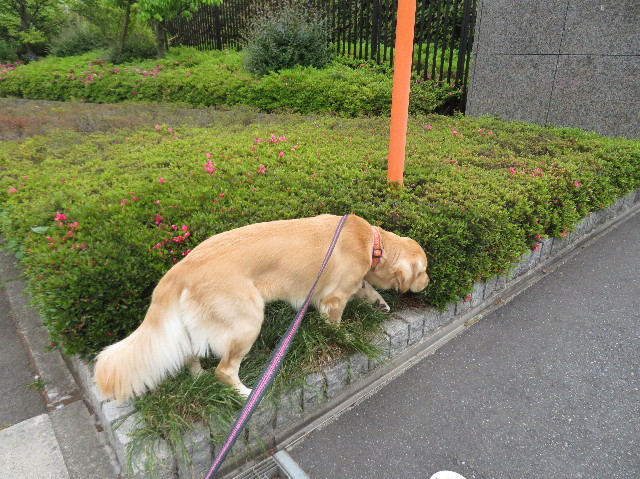 ファイル 7134-2.jpg