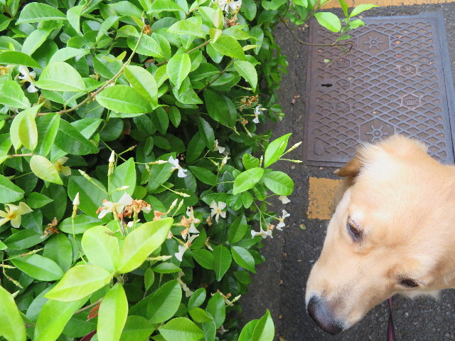 ファイル 7134-3.jpg