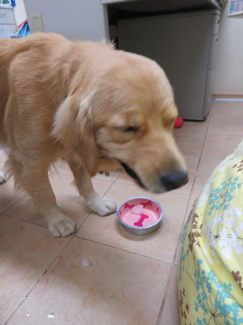 ファイル 7134-5.jpg