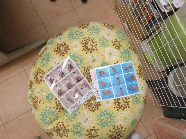 ファイル 7136-1.jpg