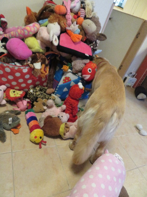 ファイル 7137-1.jpg