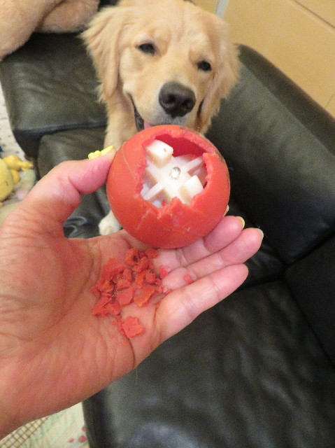 ファイル 7137-2.jpg