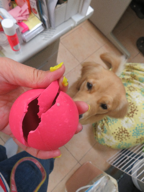 ファイル 7137-3.jpg