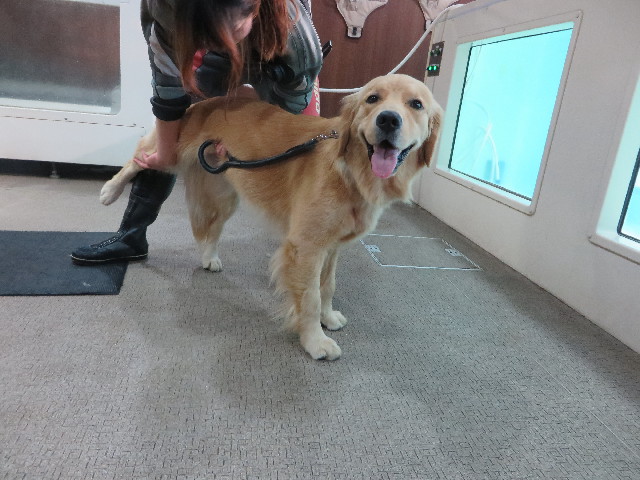 ファイル 7138-2.jpg