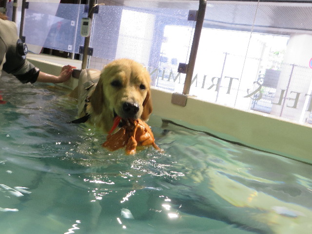 ファイル 7138-3.jpg