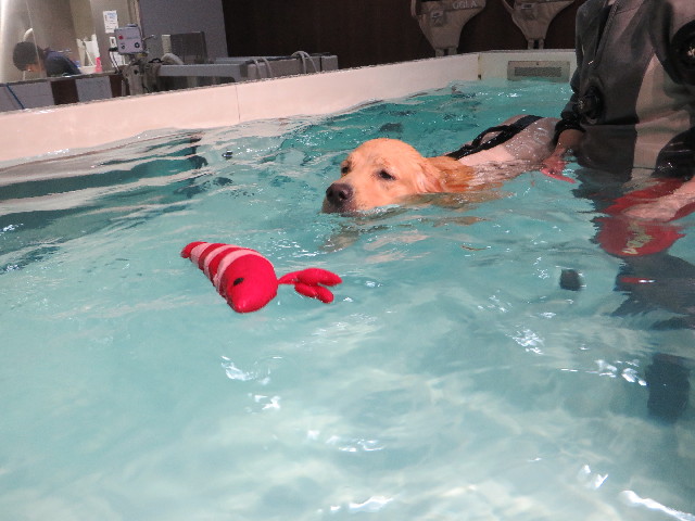 ファイル 7138-4.jpg