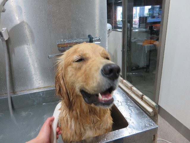 ファイル 7138-5.jpg