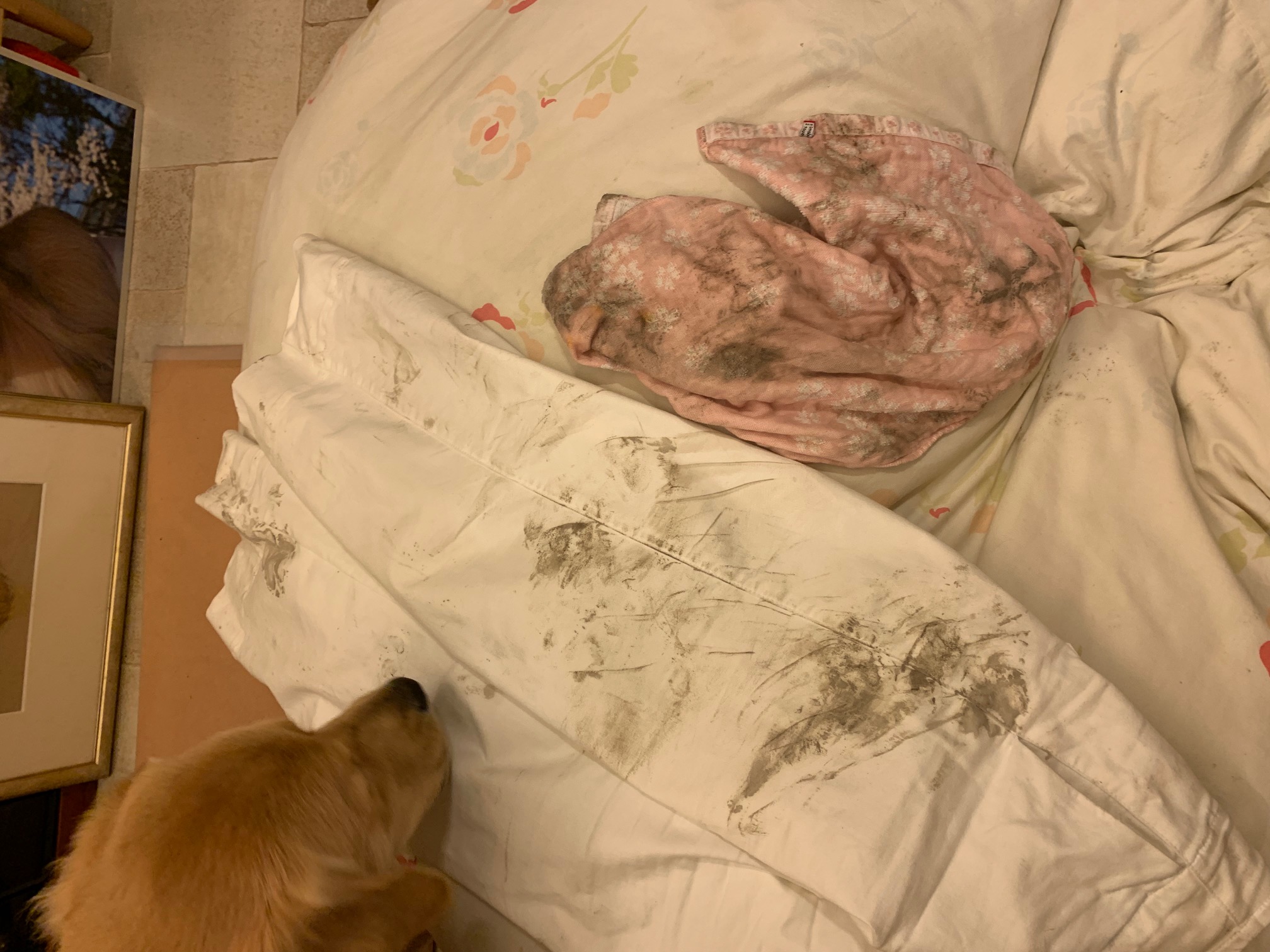 ファイル 7139-5.jpg