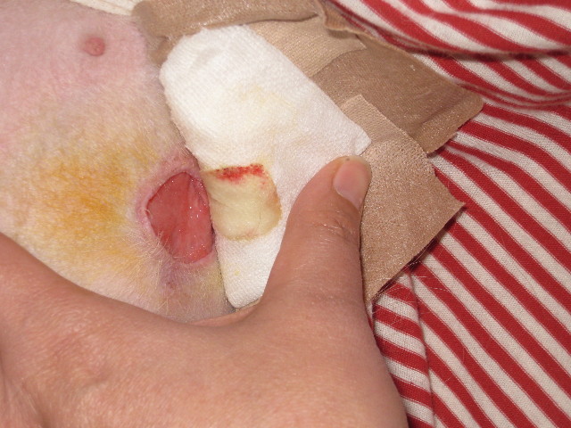 ファイル 714-1.jpg