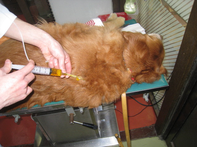 ファイル 714-3.jpg