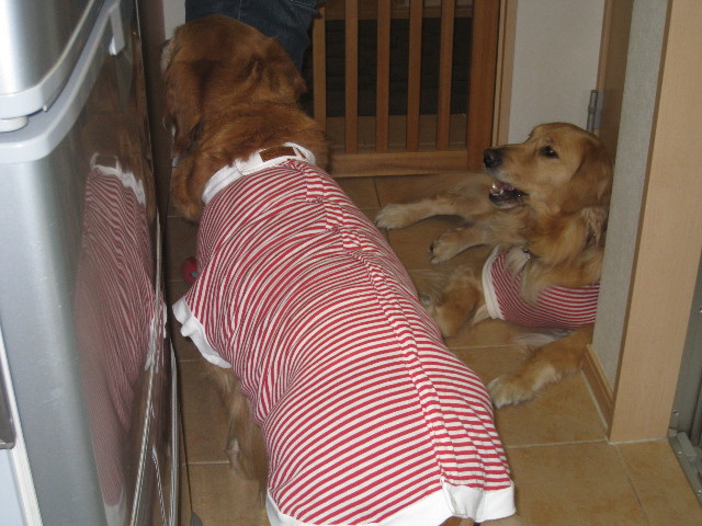 ファイル 714-4.jpg