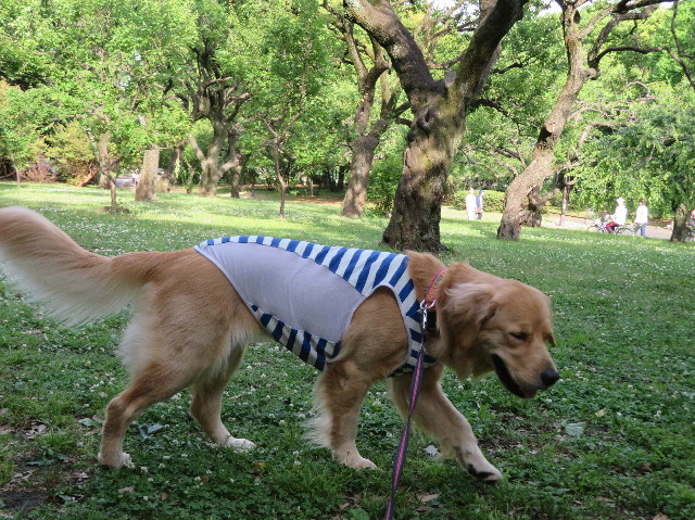 ファイル 7140-3.jpg