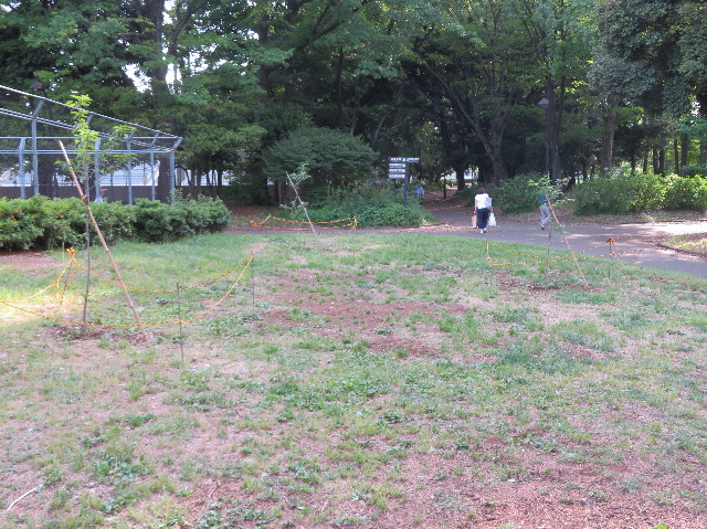 ファイル 7140-4.jpg