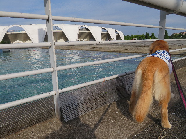 ファイル 7140-5.jpg