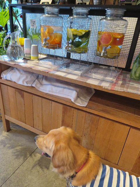 ファイル 7141-4.jpg