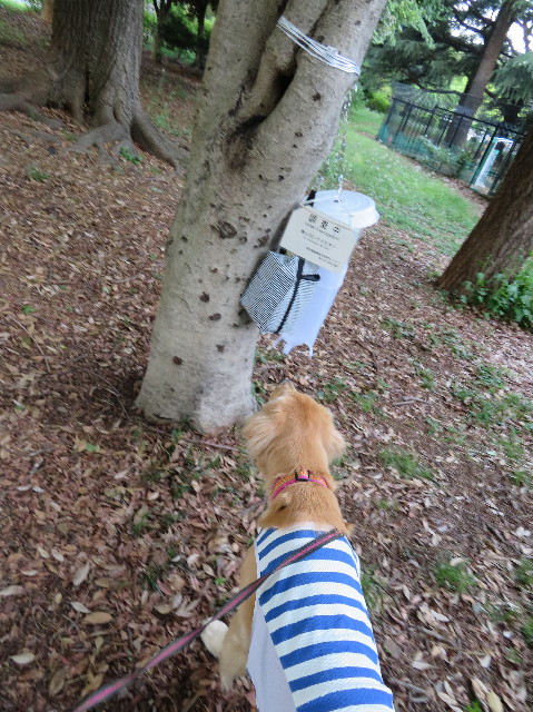 ファイル 7141-5.jpg