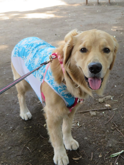 ファイル 7142-1.jpg