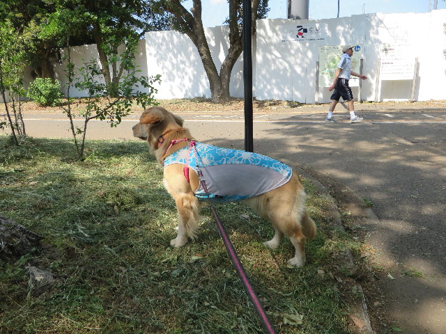 ファイル 7142-2.jpg