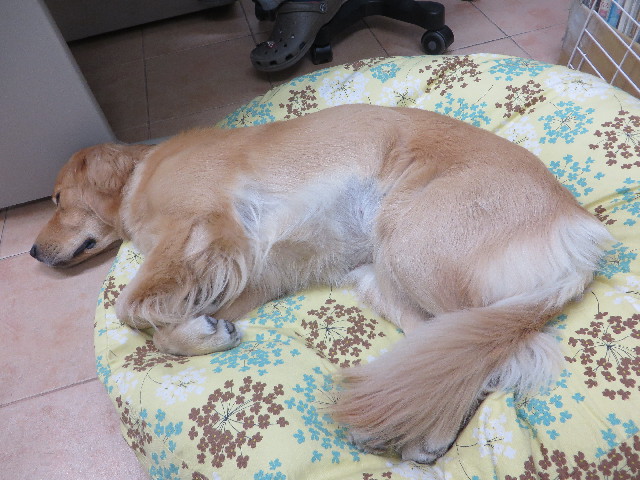 ファイル 7142-3.jpg