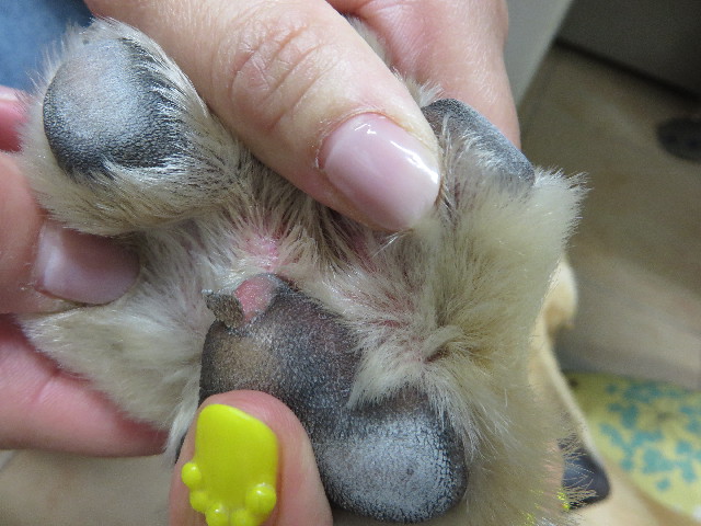 ファイル 7142-4.jpg