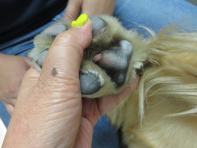 ファイル 7142-5.jpg