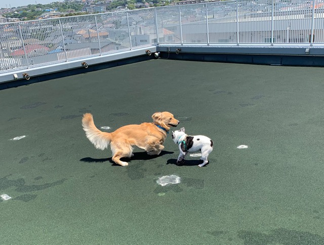 ファイル 7143-1.jpg