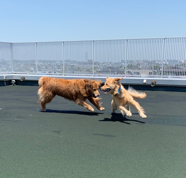 ファイル 7143-2.jpg