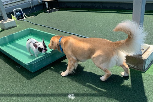 ファイル 7143-4.jpg