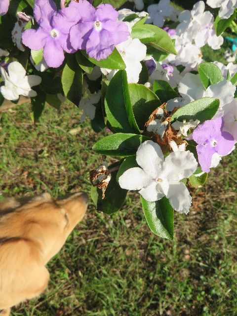 ファイル 7144-4.jpg