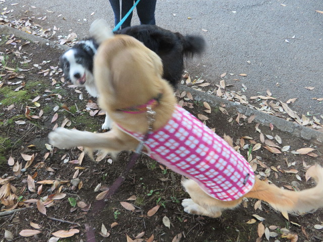 ファイル 7144-5.jpg