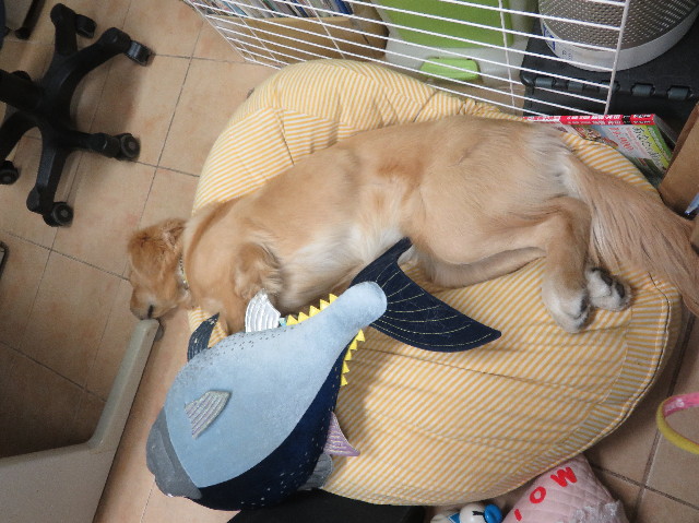 ファイル 7145-2.jpg