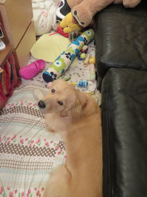 ファイル 7145-4.jpg