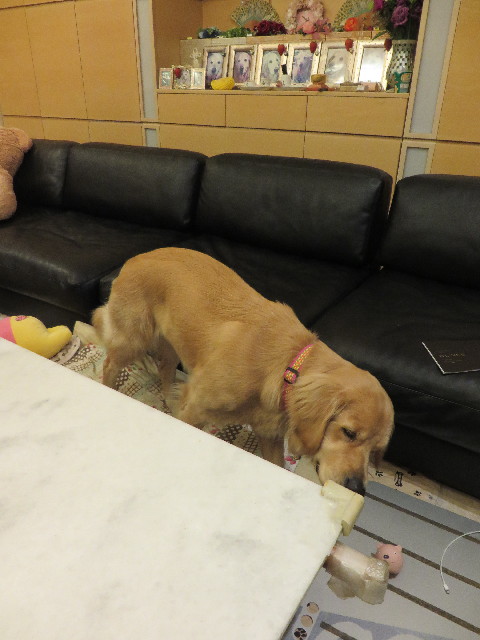 ファイル 7146-1.jpg