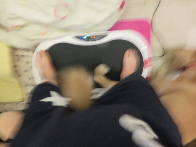 ファイル 7146-2.jpg