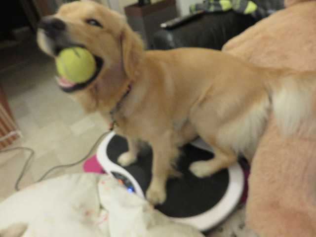 ファイル 7146-3.jpg