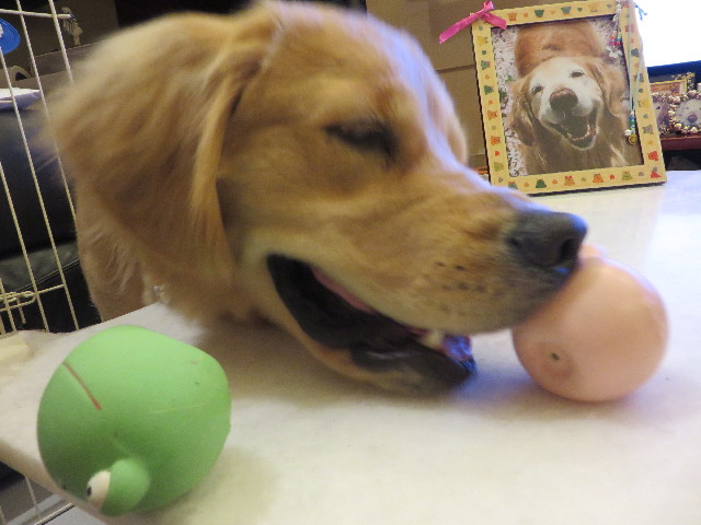 ファイル 7146-4.jpg